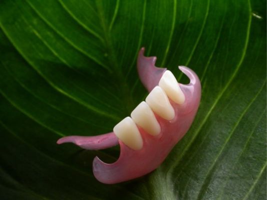 Duraflex Flexível Parcial Desmontável Estética Parcial Dentária